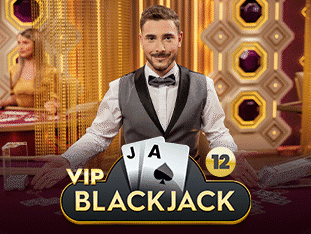 VIP Blackjack 12 game screenshot